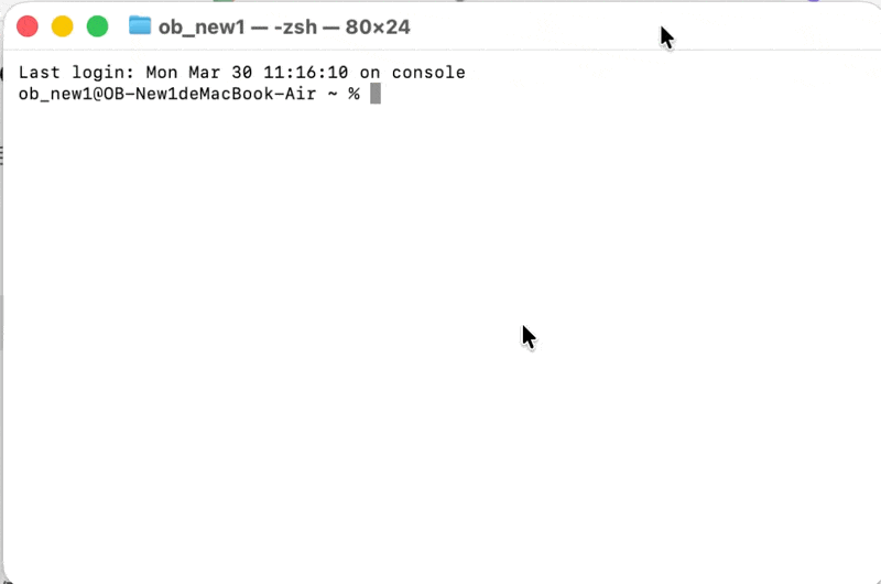 在終端機貼上安裝指令